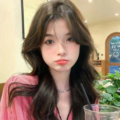 雪落时你向南飞